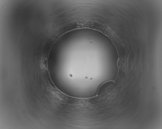 X0000073450770200607281220