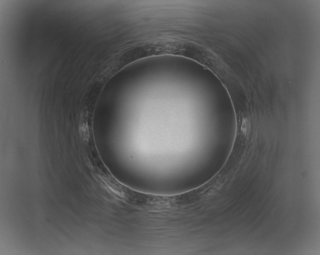 X0000073450771200607281220