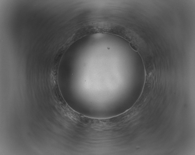 X0000073450772200607281220