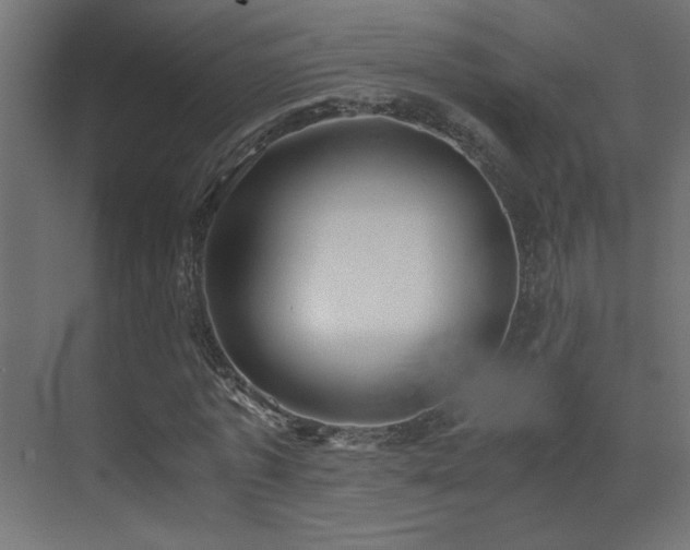 X0000073450773200607281220