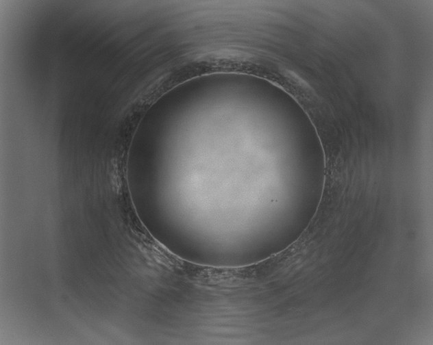 X0000073450774200607281220