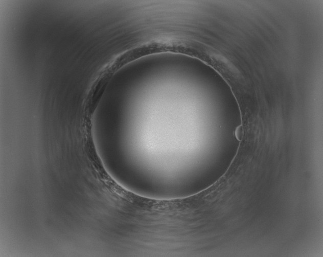 X0000073450776200607281220