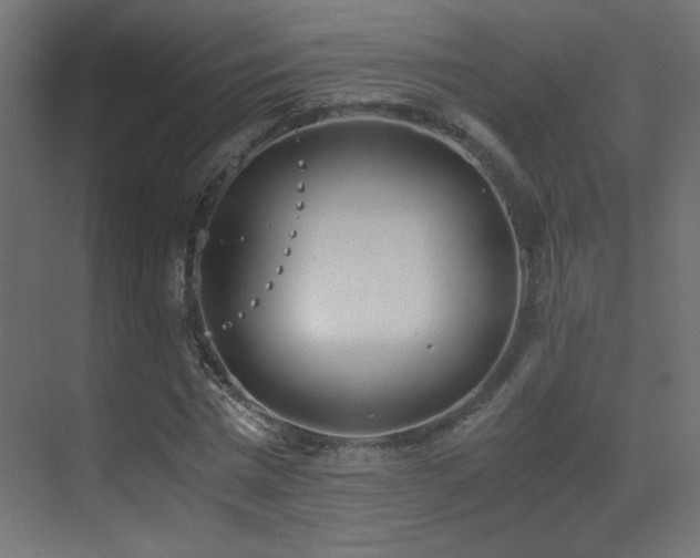 X0000073450777200607281220