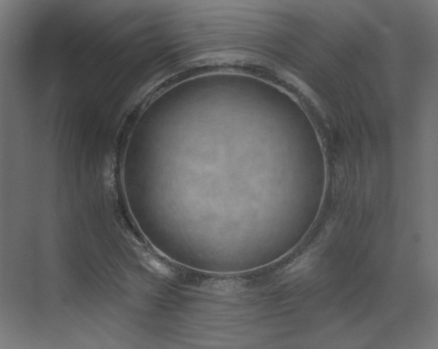 X0000073450778200607281220