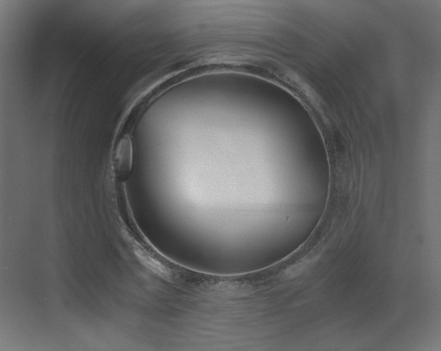 X0000073450779200607281220