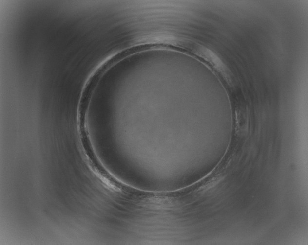 X0000073450780200607281220