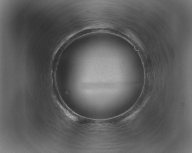 X0000073450781200607281220