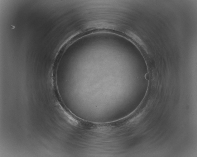 X0000073450782200607281220