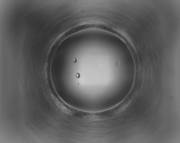 X0000073450783200607281220