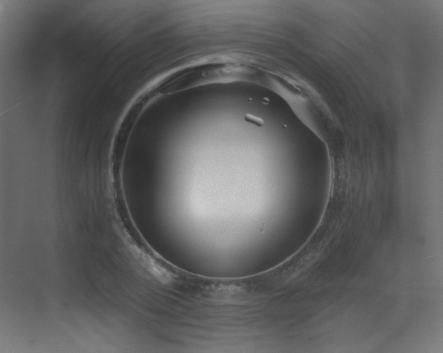 X0000073450784200607281220