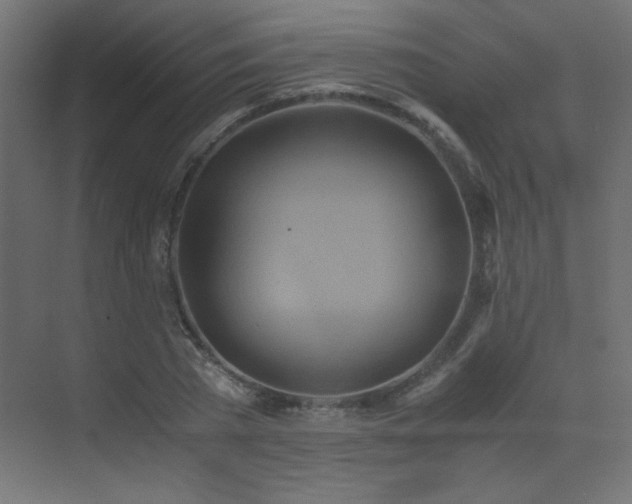 X0000073450785200607281220