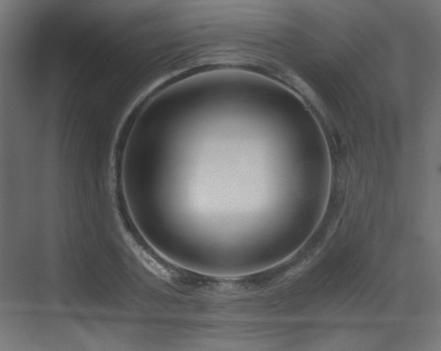 X0000073450787200607281220