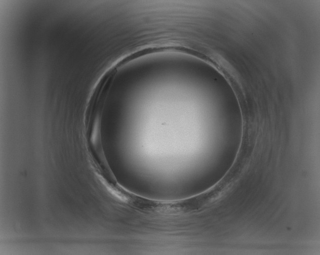 X0000073450789200607281220