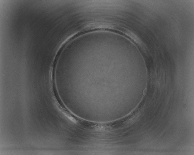 X0000073450790200607281220