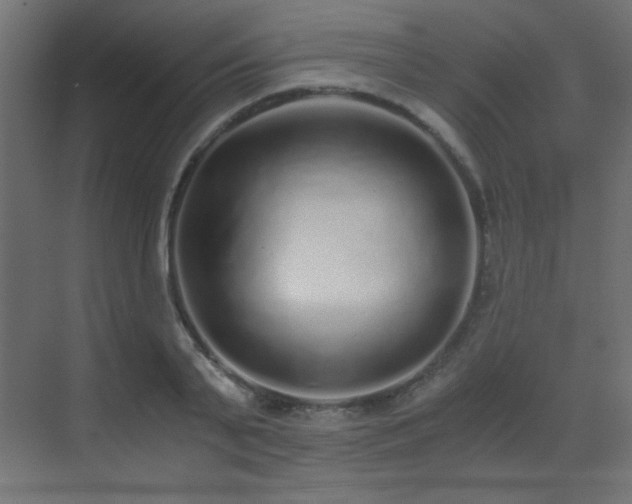 X0000073450791200607281220