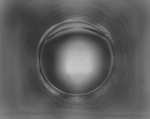 X0000073450792200607281220