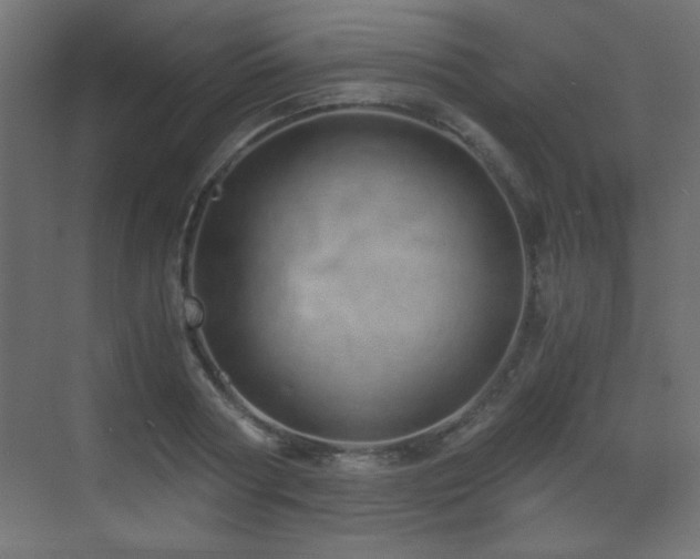 X0000073450794200607281219