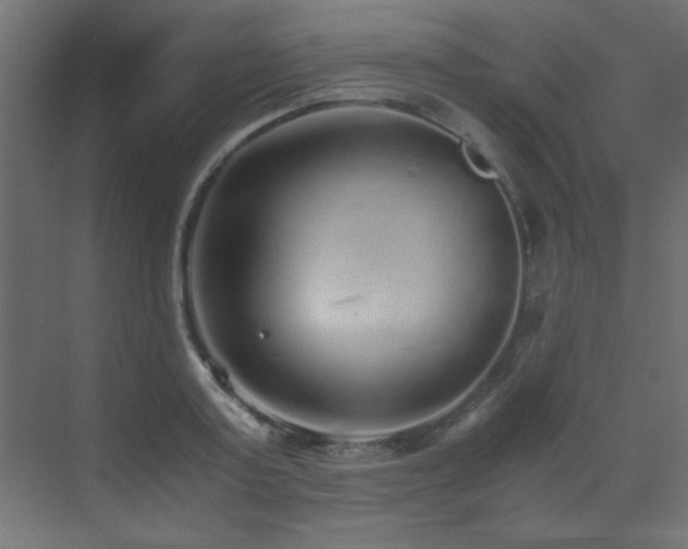 X0000073450795200607281219