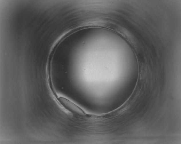 X0000073450796200607281219