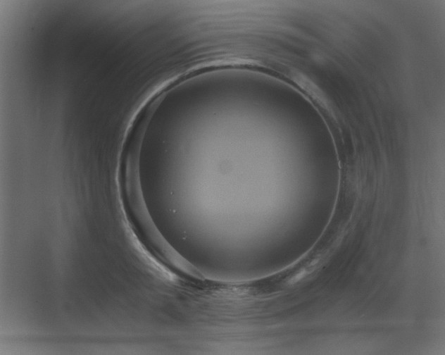 X0000073450797200607281219