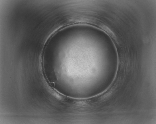 X0000073450798200607281219