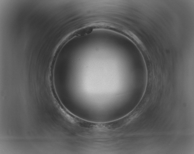 X0000073450799200607281219