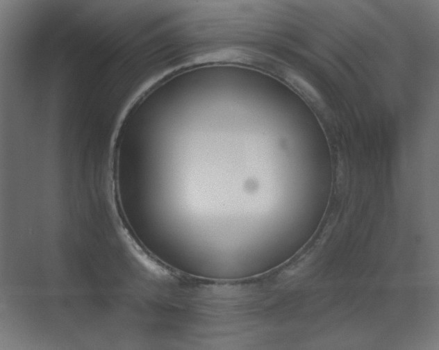 X0000073450800200607281219