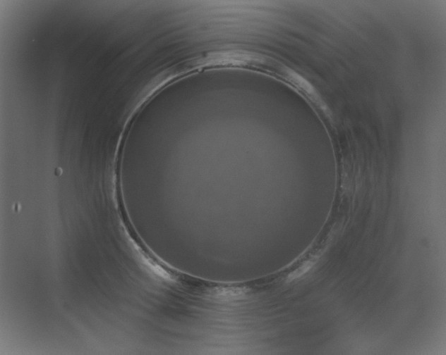 X0000073450802200607281219