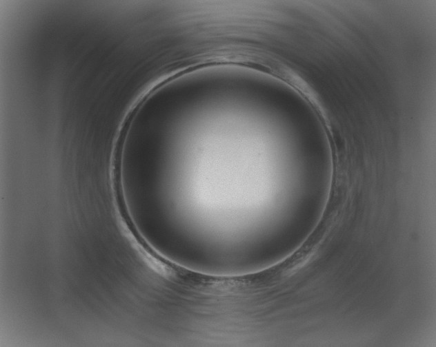 X0000073450803200607281219