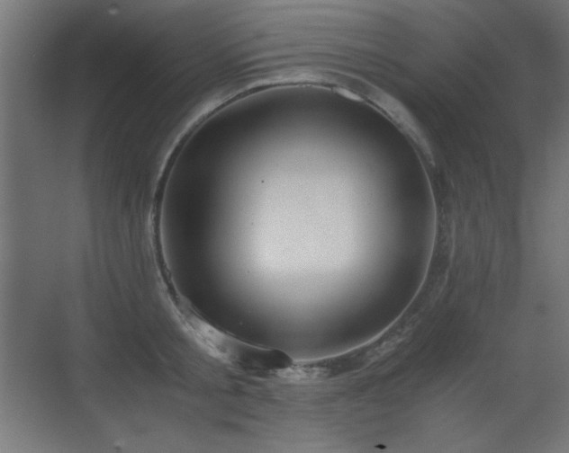 X0000073450805200607281219