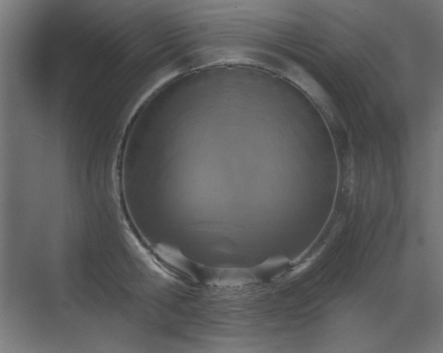 X0000073450806200607281219