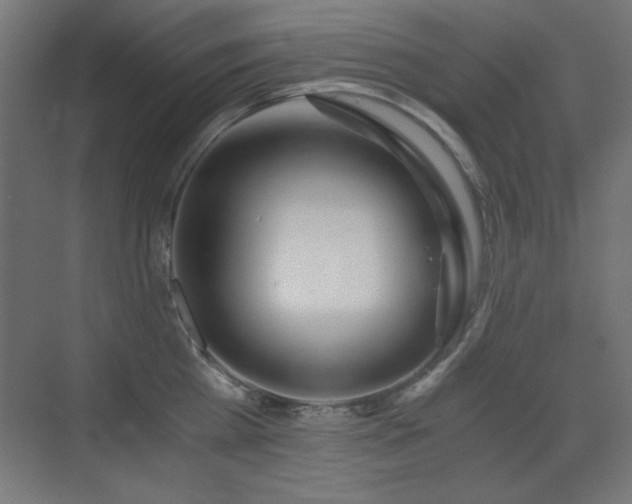 X0000073450809200607281219