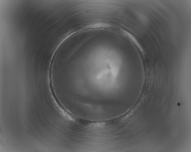 X0000073450810200607281219