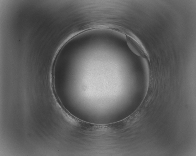 X0000073450811200607281219