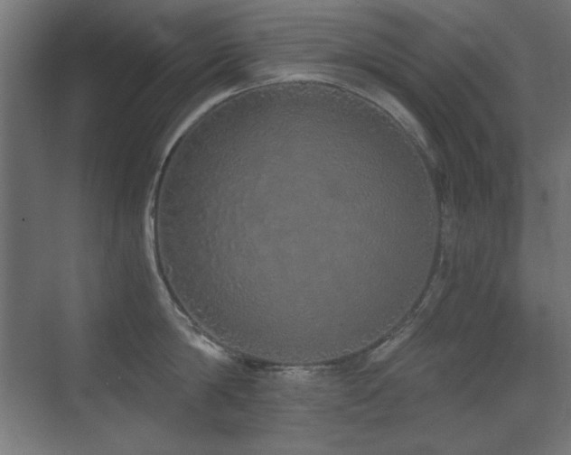 X0000073450814200607281219