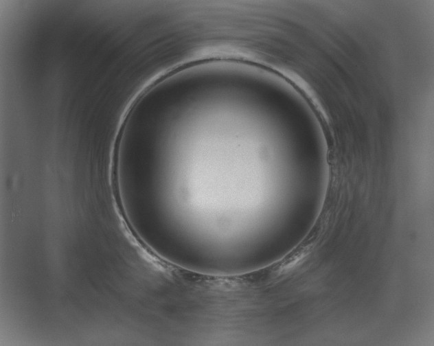 X0000073450815200607281219