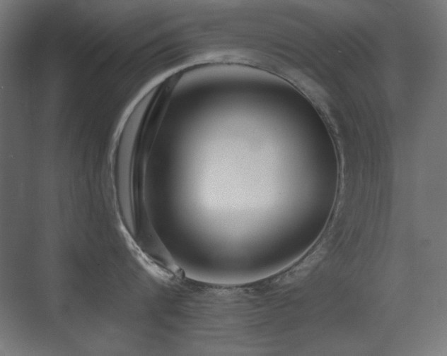 X0000073450816200607281219