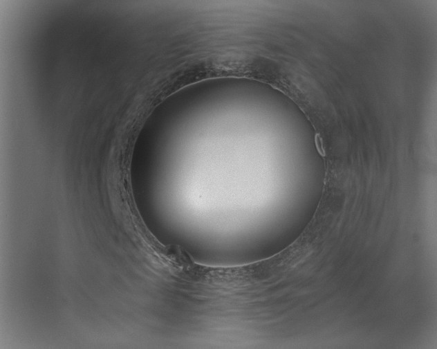 X0000073450817200607281218