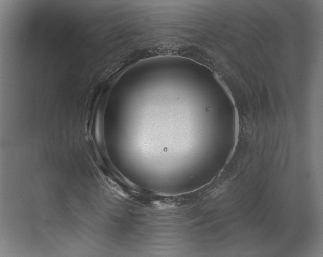 X0000073450818200607281218