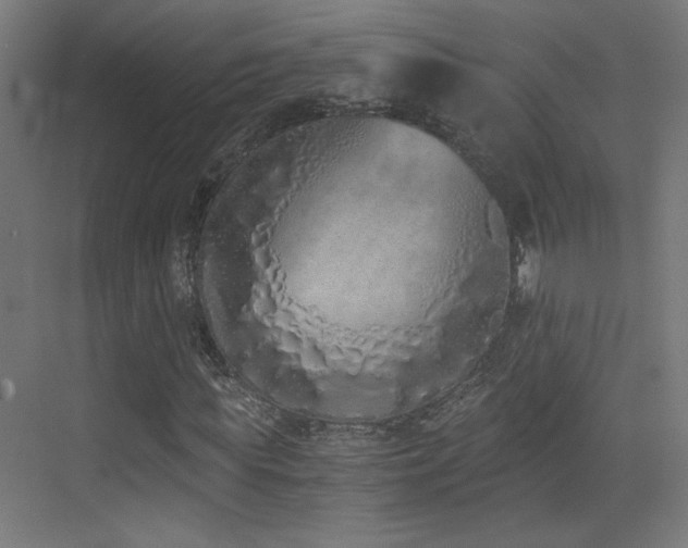 X0000073450819200607281218