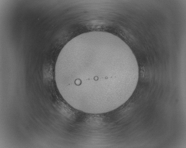 X0000073450820200607281218