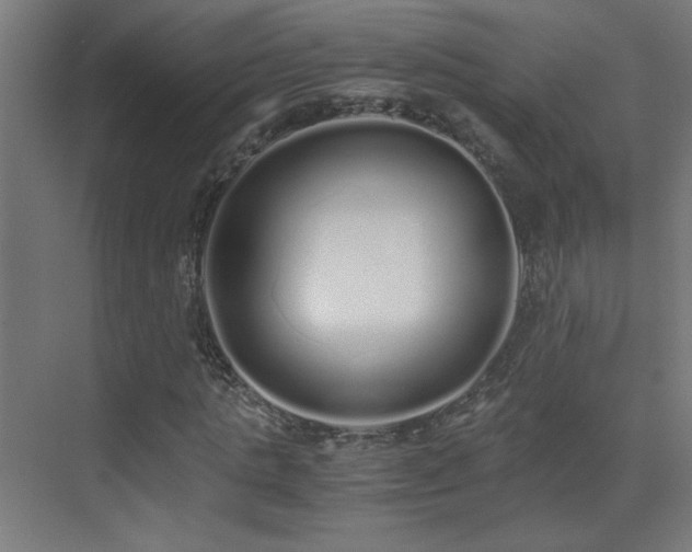 X0000073450821200607281218