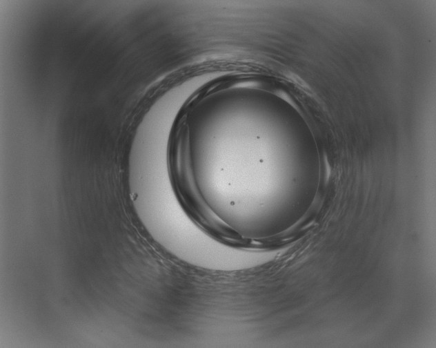 X0000073450822200607281218