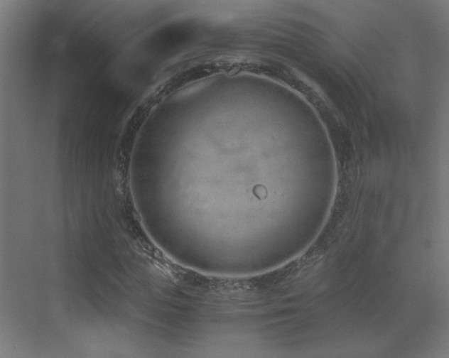 X0000073450823200607281218