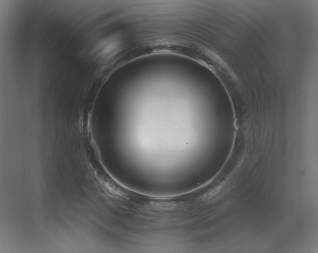 X0000073450825200607281218