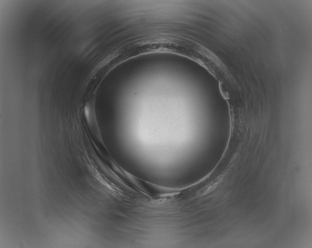 X0000073450826200607281218