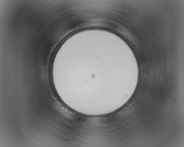 X0000073450828200607281218