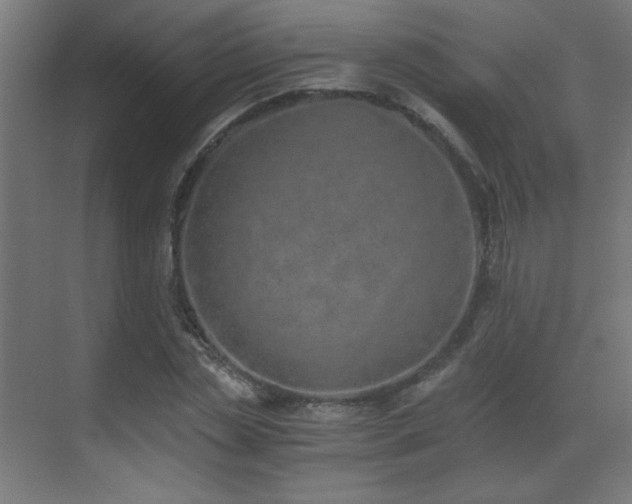 X0000073450829200607281218