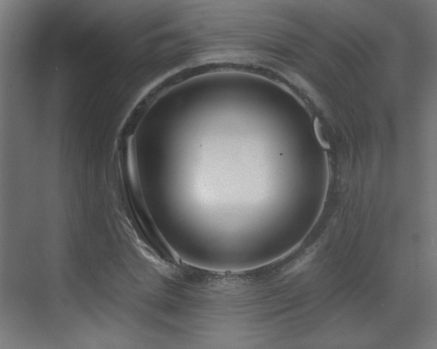 X0000073450830200607281218