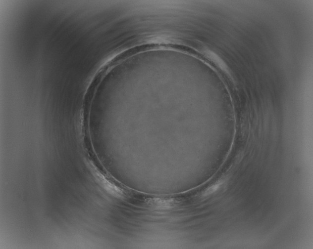 X0000073450831200607281219